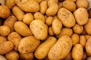 itsuckstogrowup - potatoes